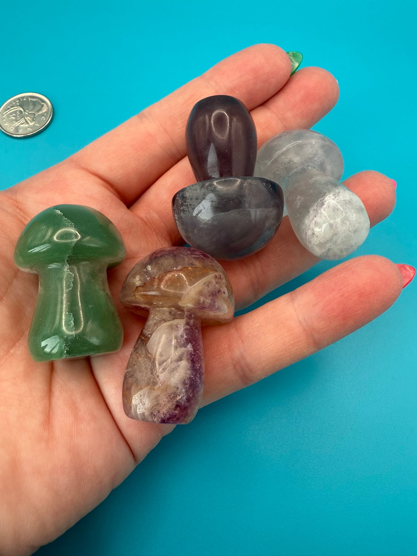 Medium/Large Crystal Mushrooms