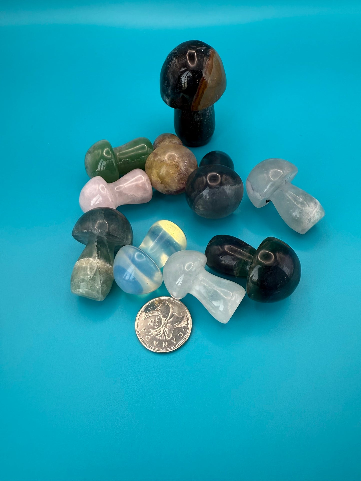 Medium/Large Crystal Mushrooms