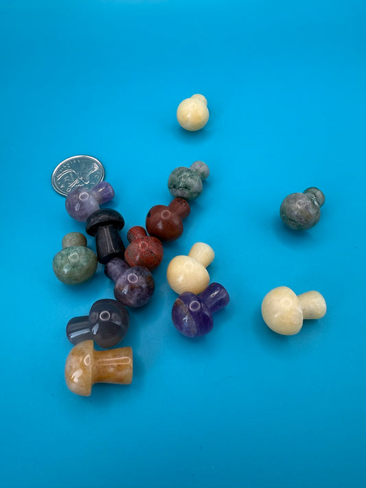 Mixed - Mini Mushrooms